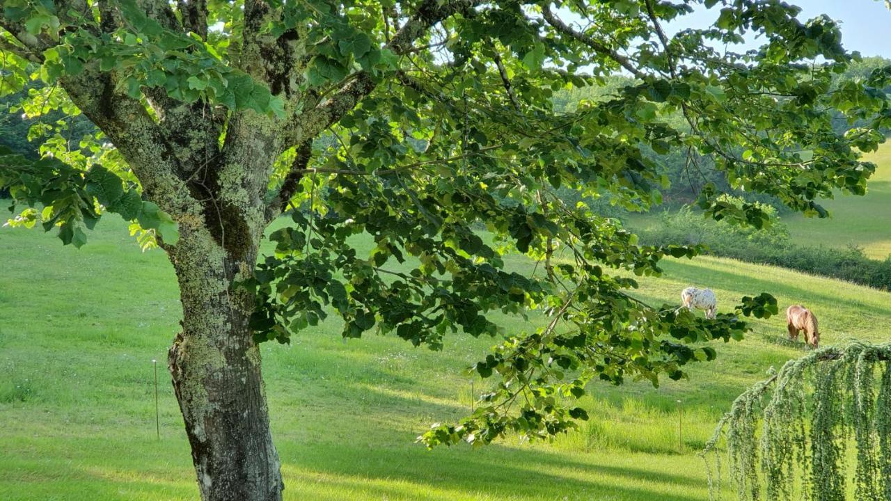Готель Domaine Du Cardou Puy-l'Eveque Екстер'єр фото